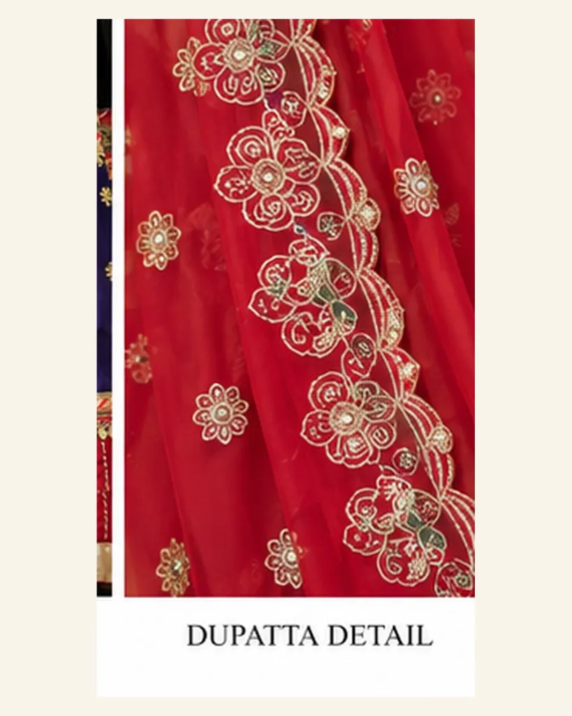 05_dupatta_detail.webp