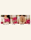 05_blouse_and_border_detail.webp
